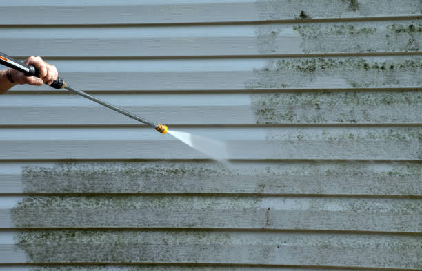 Best Roof Washing  in Millville, NJ